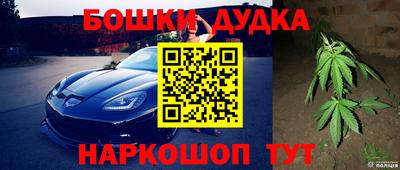 шишки Ярославль