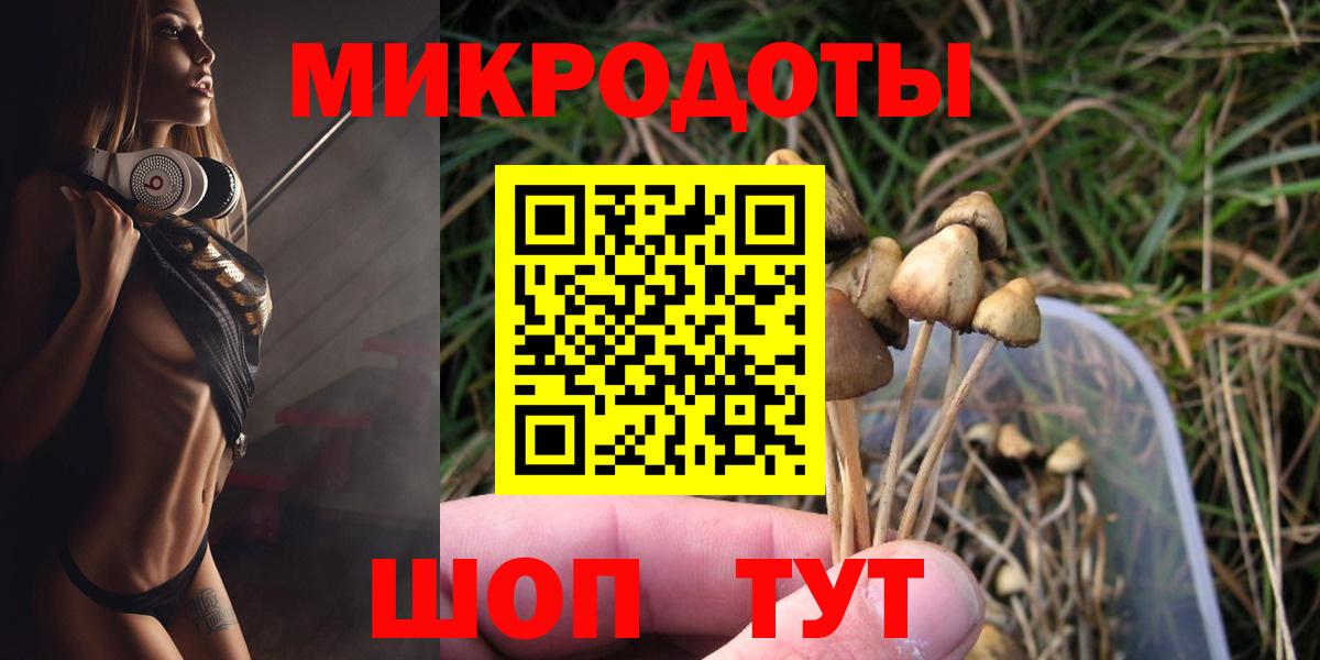 Псилоцибиновые грибы мицелий  Вход с VPN  как найти закладки  Большой Камень 