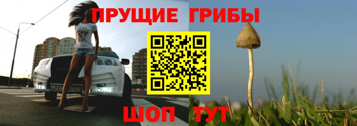 Галлюциногенные грибы GOLDEN TEACHER Большой Камень